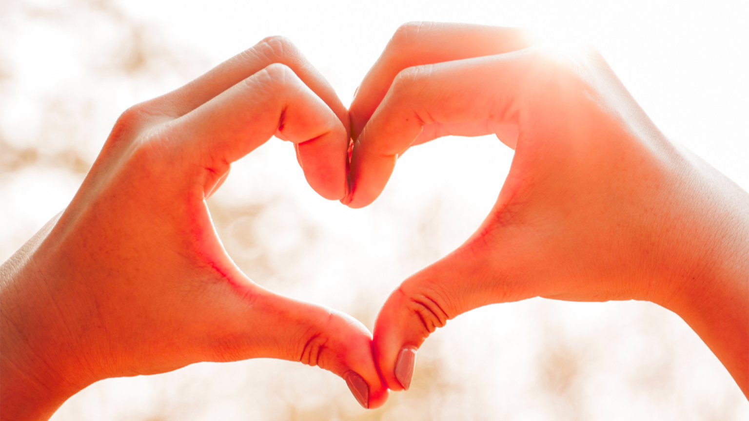 hands forming a heart shape with soft sunlight filtering through.