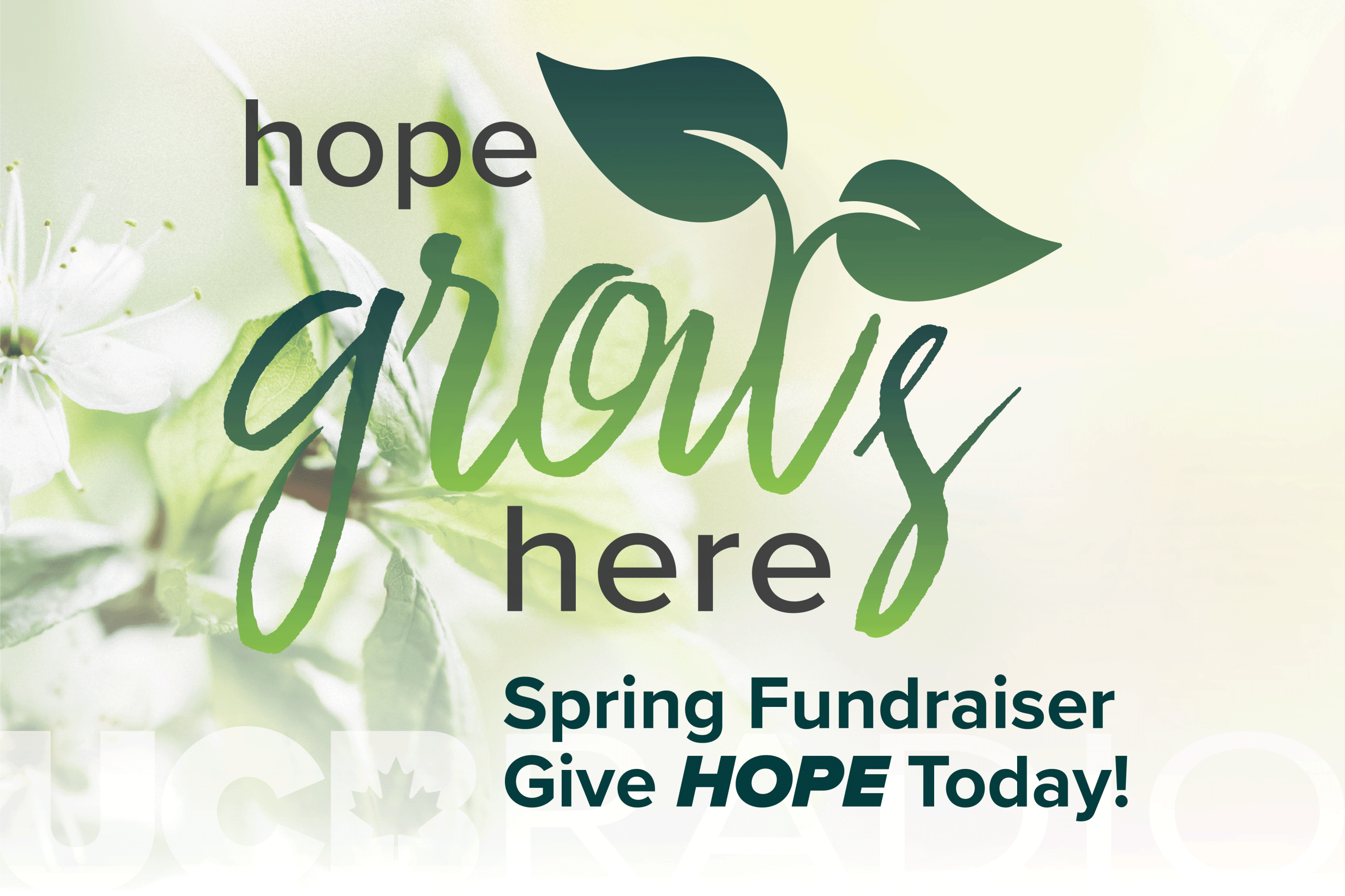 Hope Grows Here Spring Fundraiser. Give Hope Today!