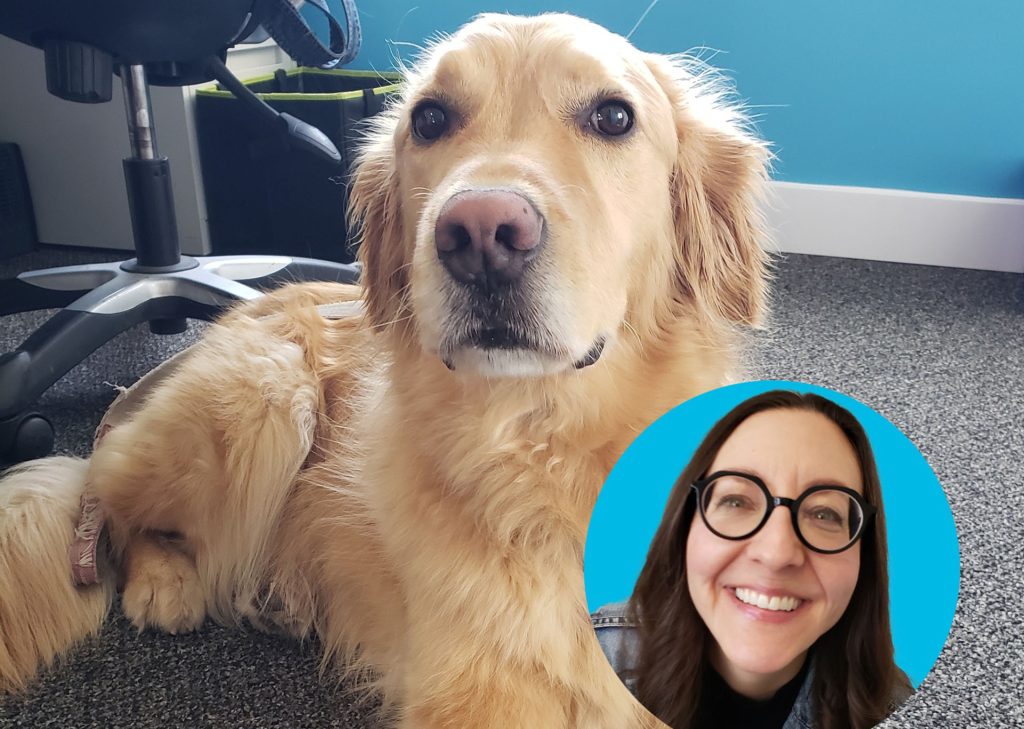 A Golden Retriever and his owner.