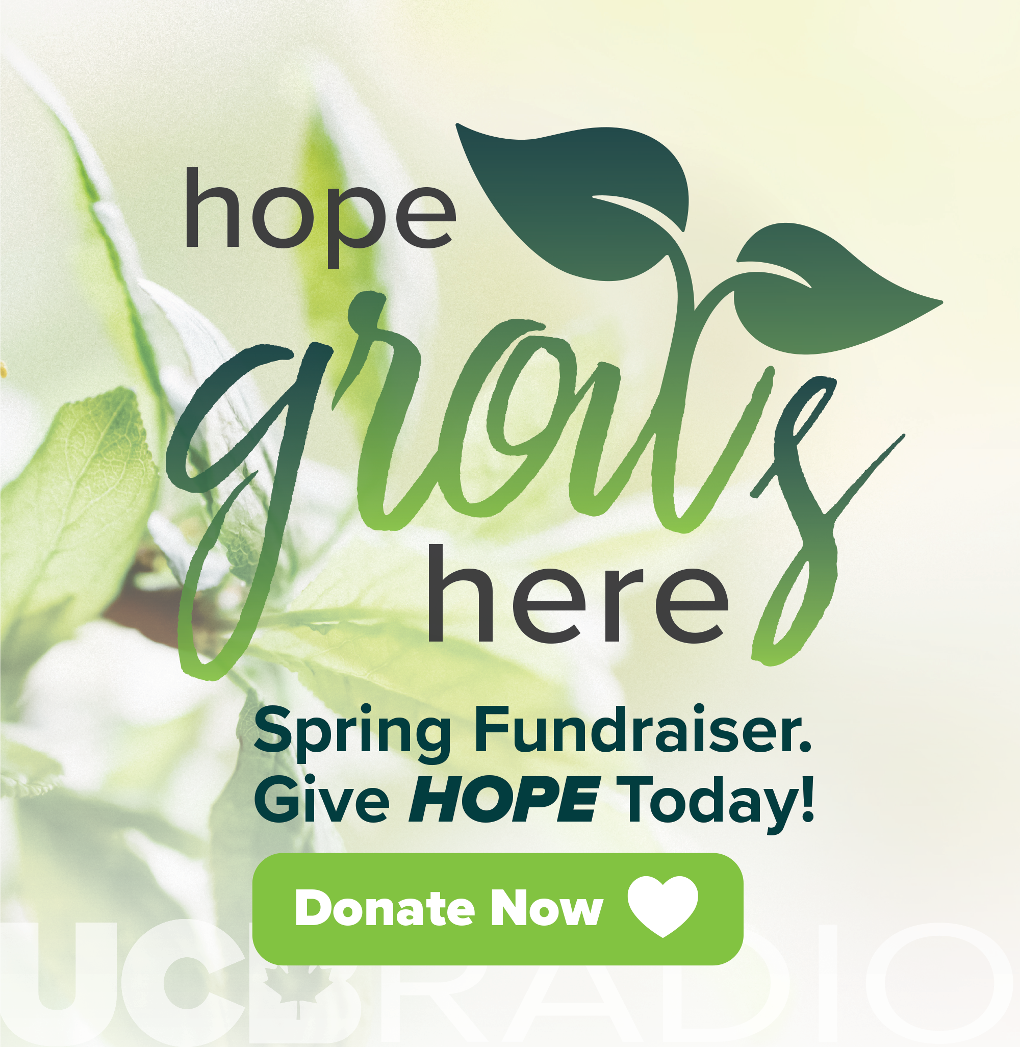 Hope Grows Here Spring Fundraiser.