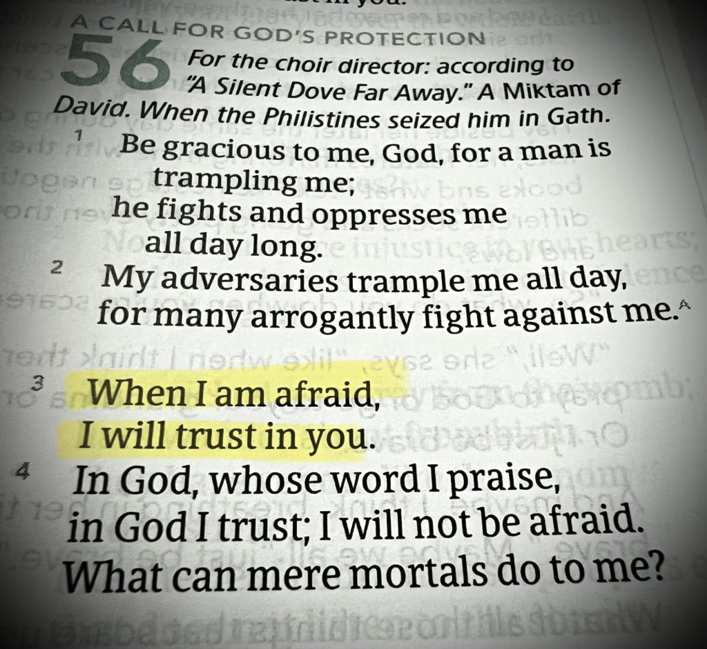 when i'm afraid I will trust in you