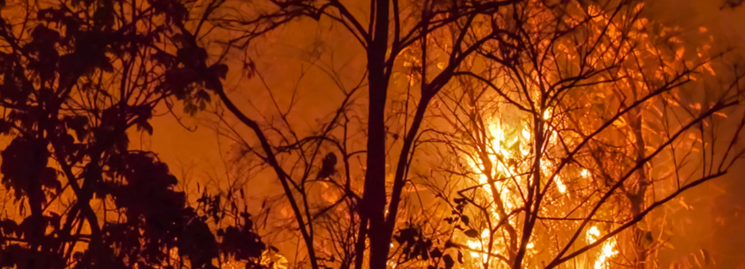 Canadian wildfires