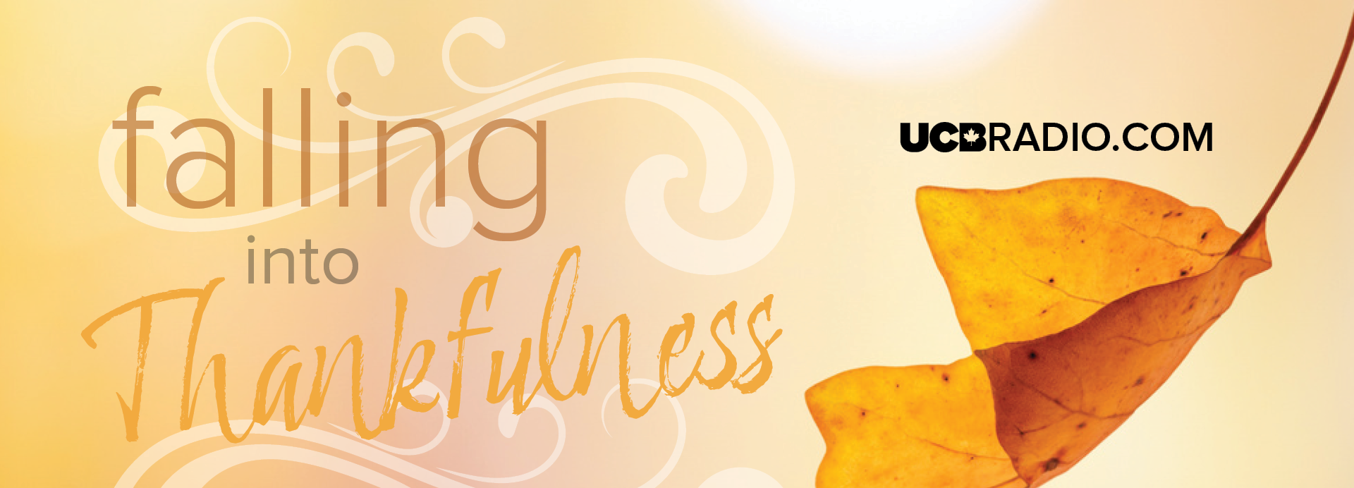 Falling into Thankfulness Free UCB Radio Printable