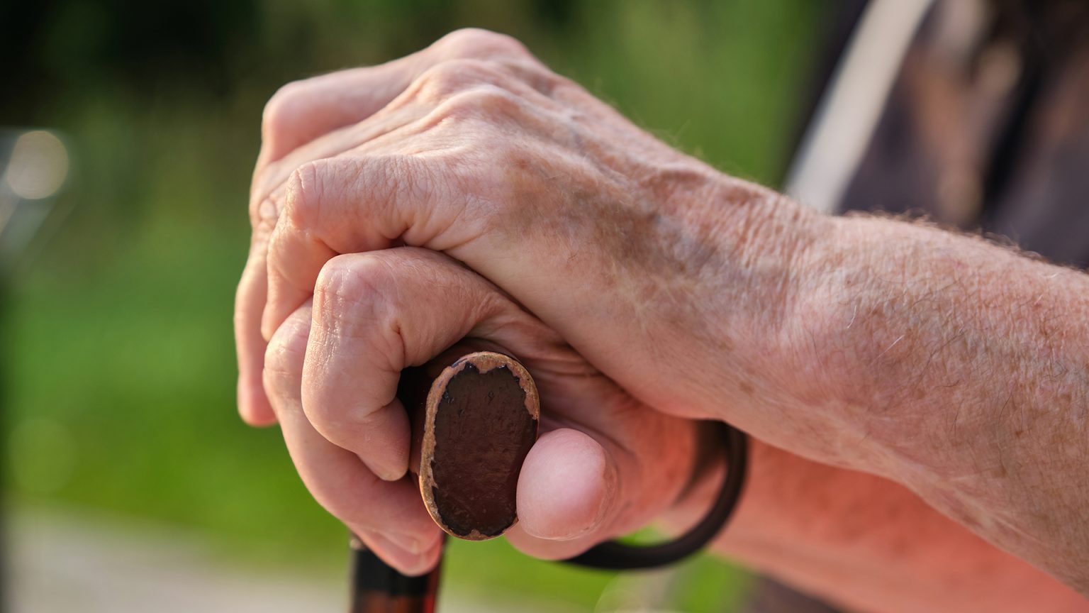 A lesson in kindness