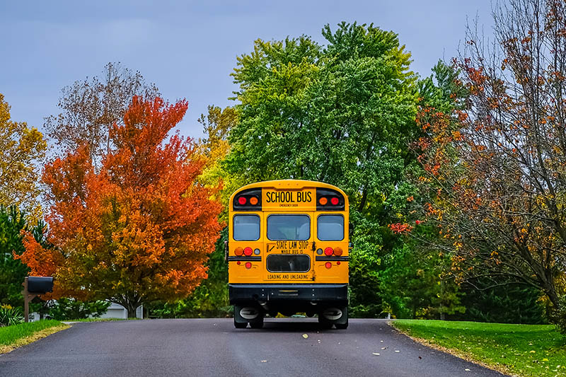 school bus driving down the road
