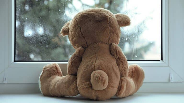 Cute lonely teddy bear on windowsill indoors, back view sad feel.
